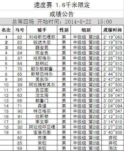 速度赛1600中级组.jpg