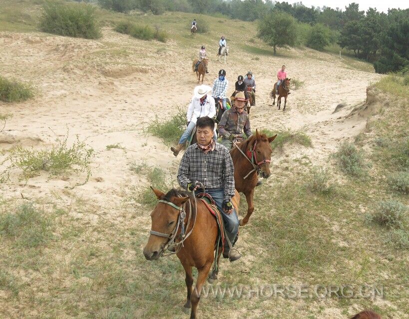 QQ图片20140907191049.jpg