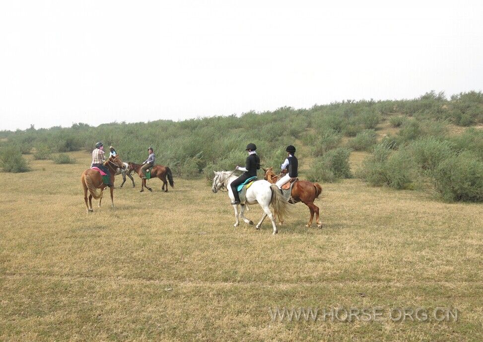 QQ图片20140907191456.jpg