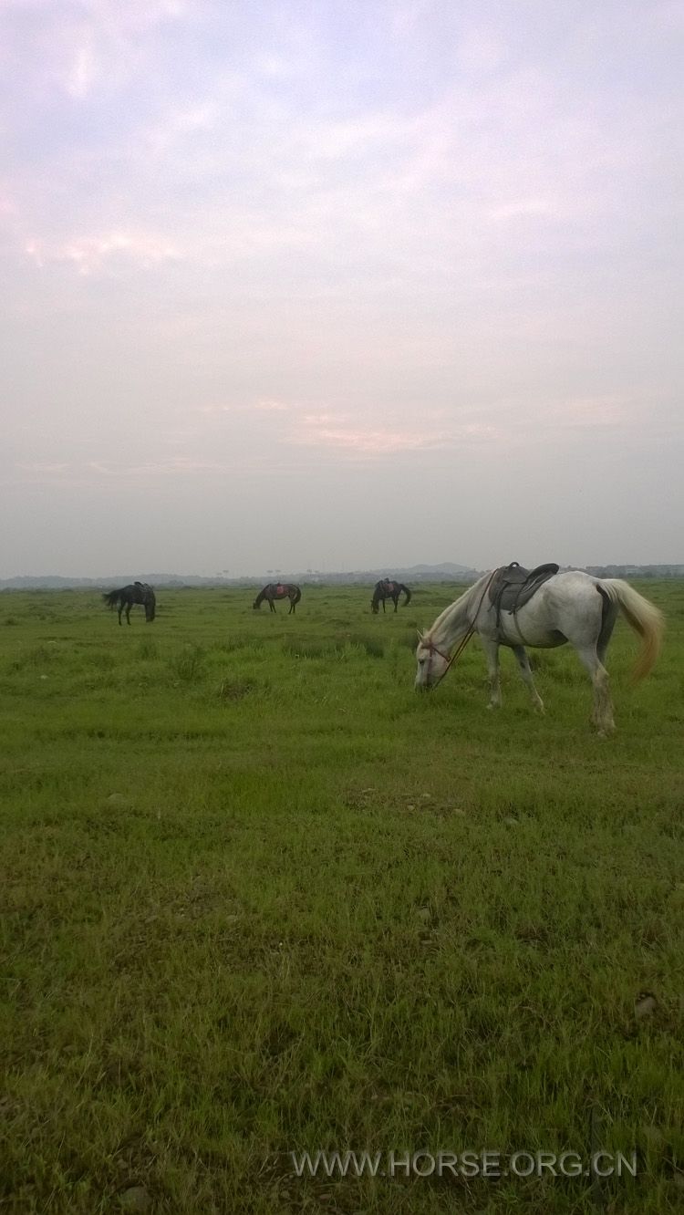 MediaLib_Camera Roll_WP_20140725_009.jpg