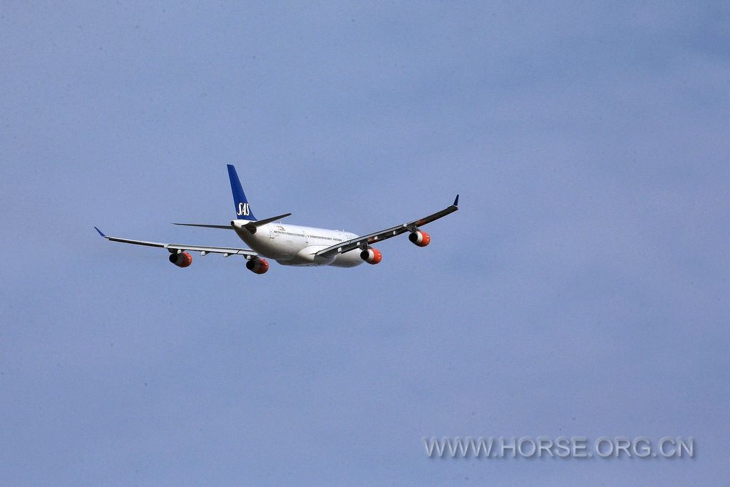 DL7K0010.jpg