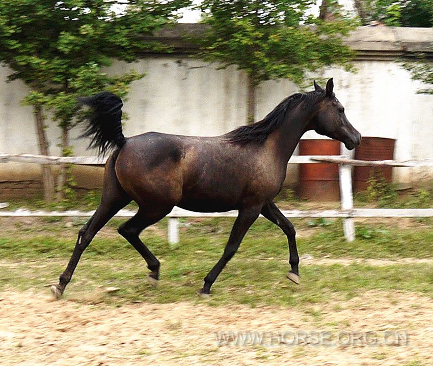P1100324.JPG