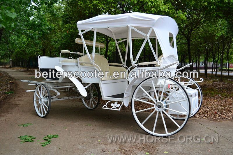 wedding horse carriage.jpg