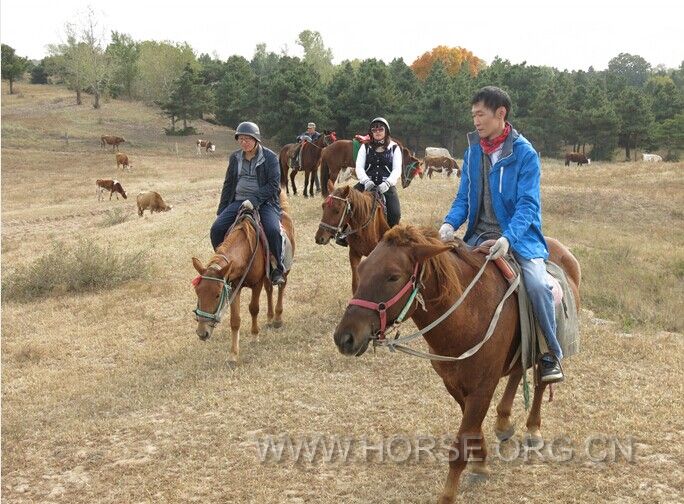 QQ图片20141004185254.jpg