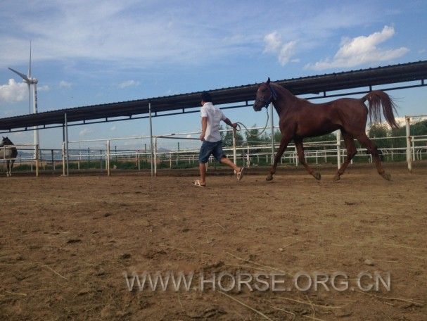 QQ图片20141009102845.jpg