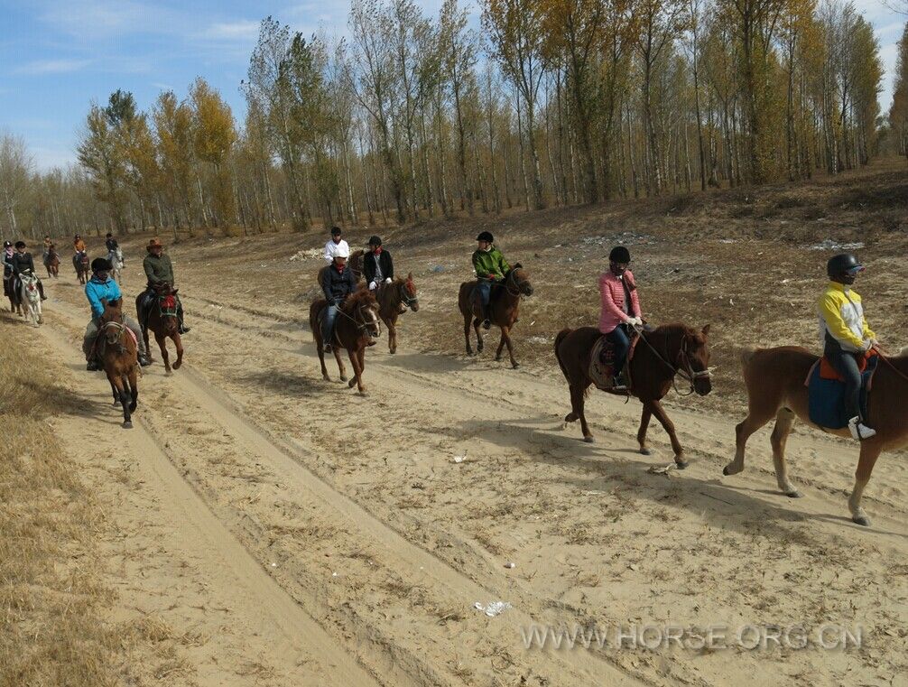 QQ图片20141012193815.jpg