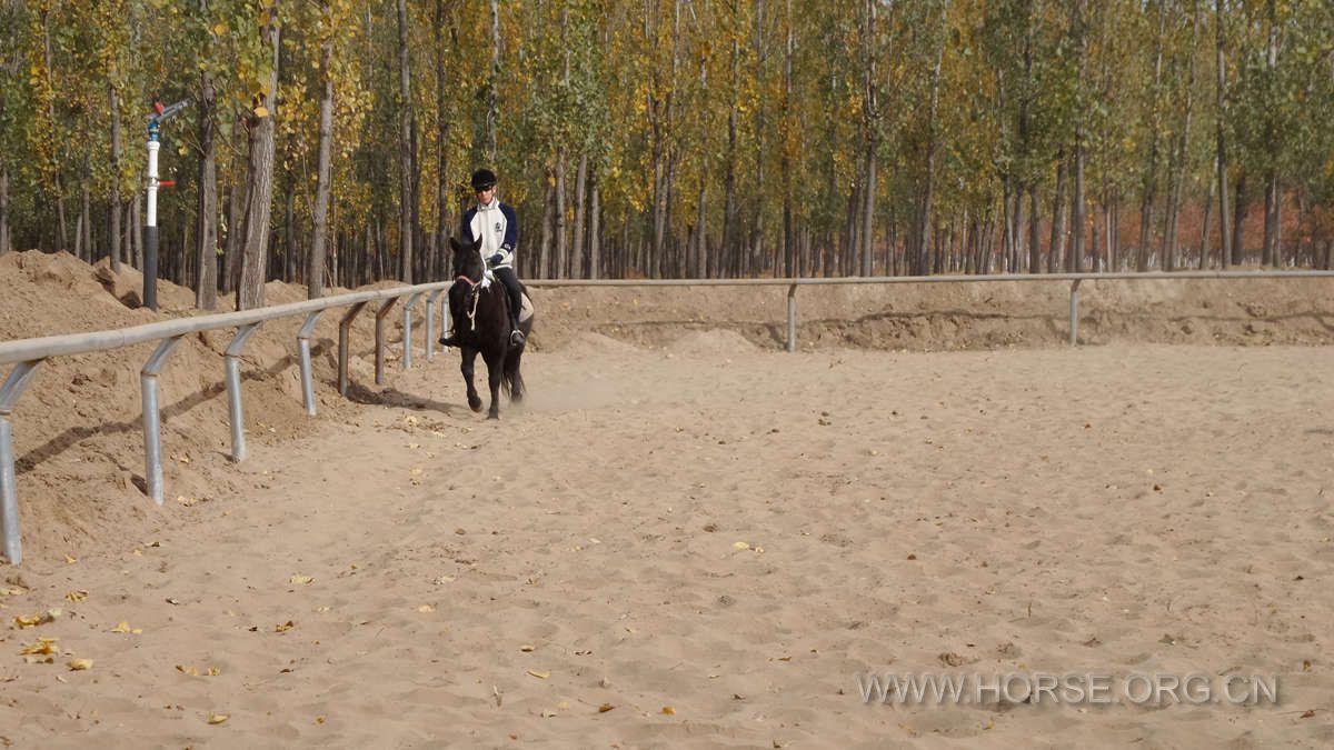 20141106_105726.jpg