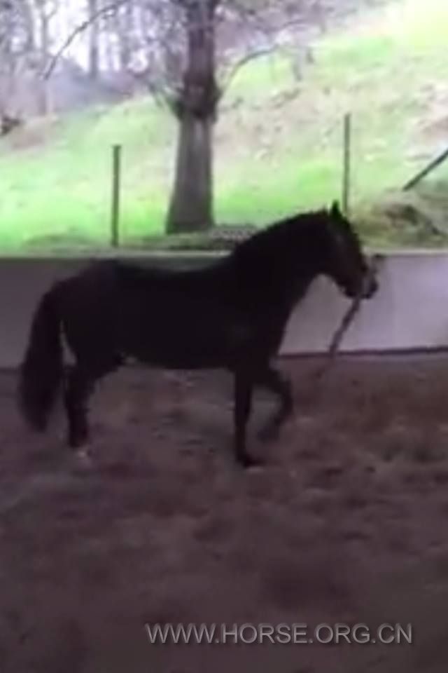 9805_1606253646275739_3721833281340296024_n.jpg
