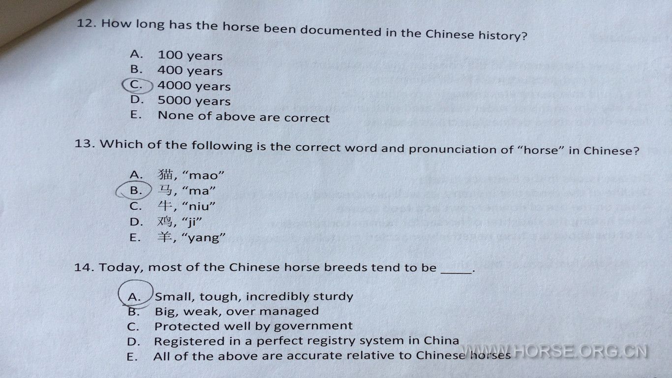 关于中国马业历史，汉字，品种的问题