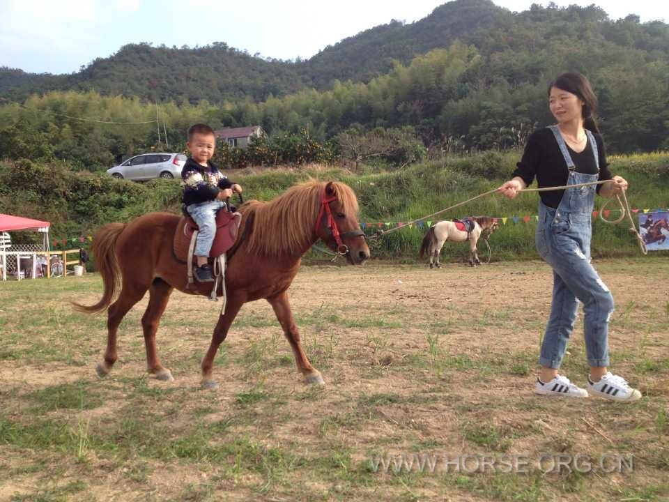 老总骑漂亮马_漂亮女生照片