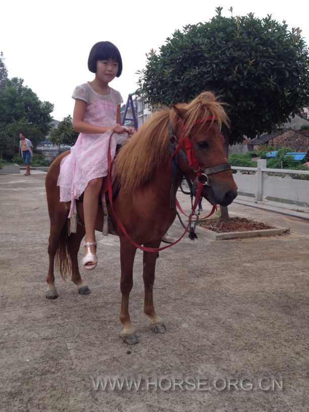 老总骑漂亮马_漂亮女生照片