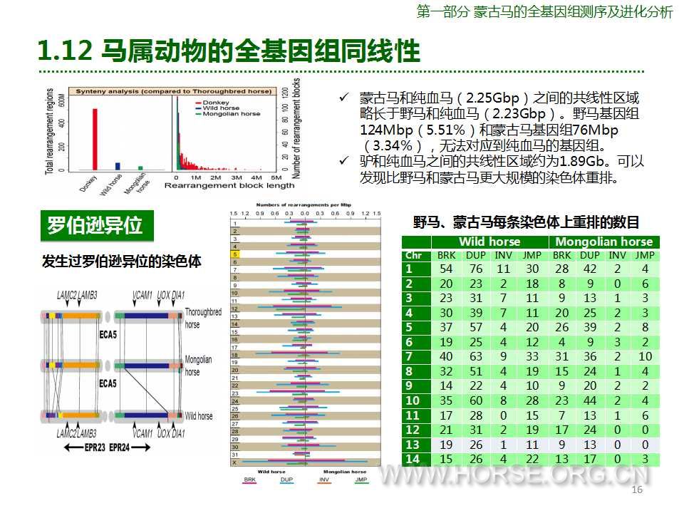 幻灯片16.jpg