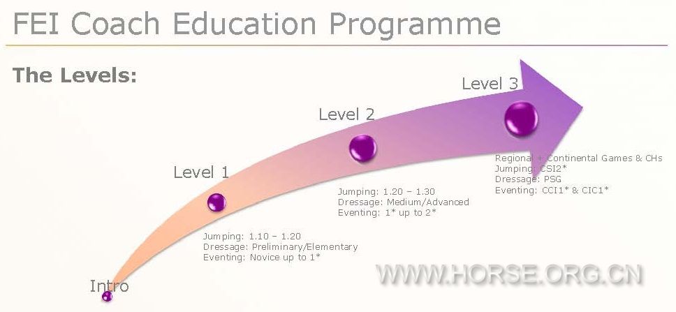 FEI Coach Education System Principles.jpg