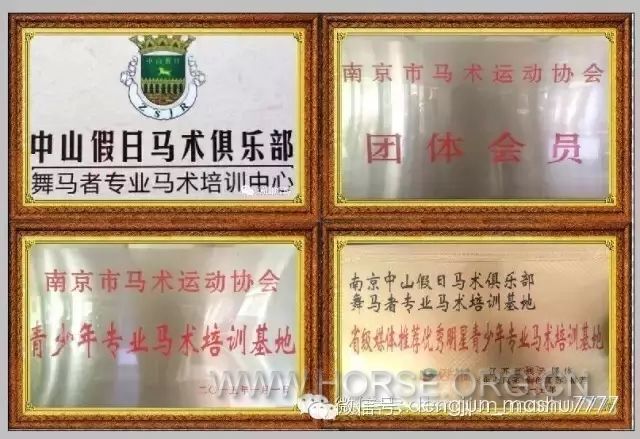 南京夜总会招聘_南京夜总会招聘(5)