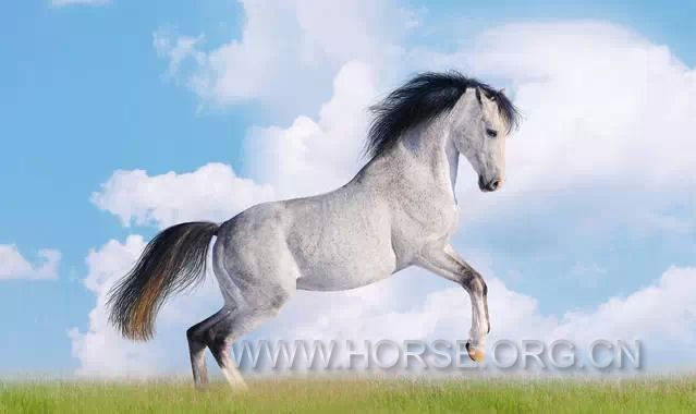 640.webp.jpg