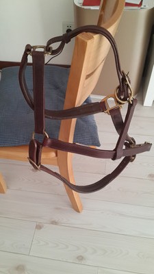 20160228_101732.jpg