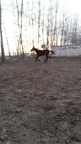 20160222_171927.jpg