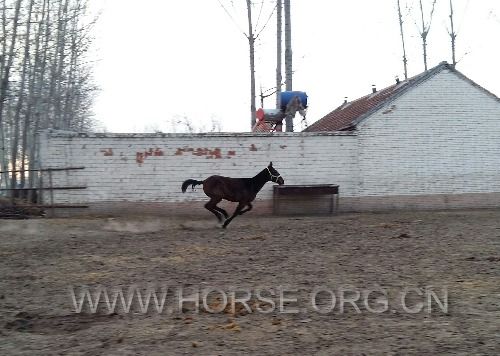 20160222_171848-1.jpg
