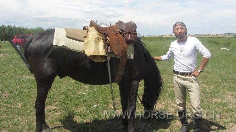 13075870aeqhnopasa7ssp.jpg.thumb.jpg
