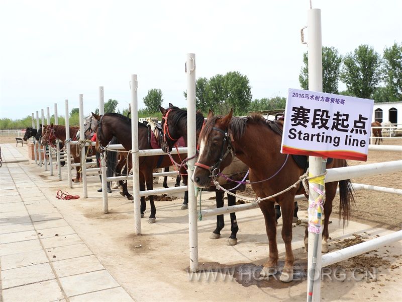 永定河耐力赛 (2).JPG