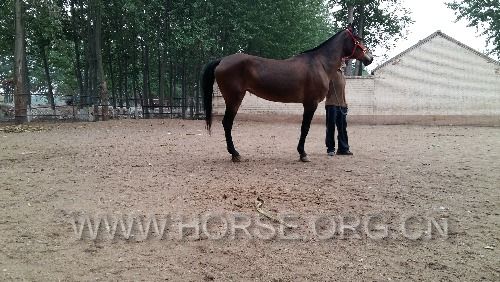 20160427_181706.jpg