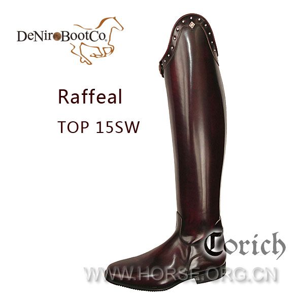 Raffeal TOP15SW 01 web.JPG