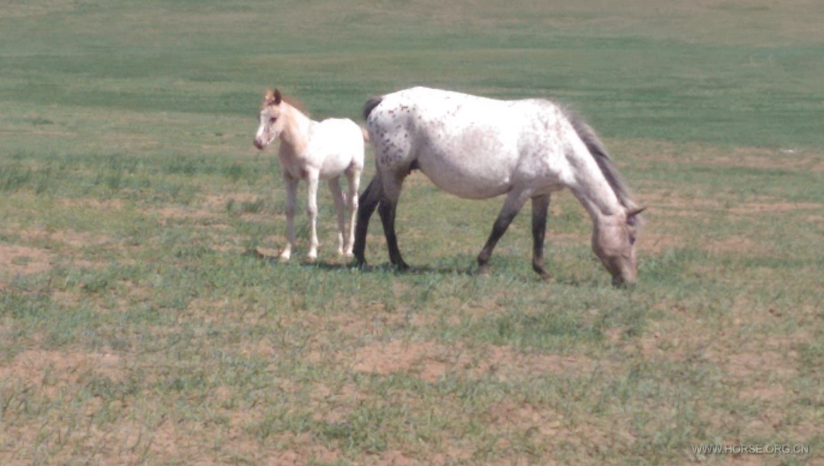 IMAG0319.jpg