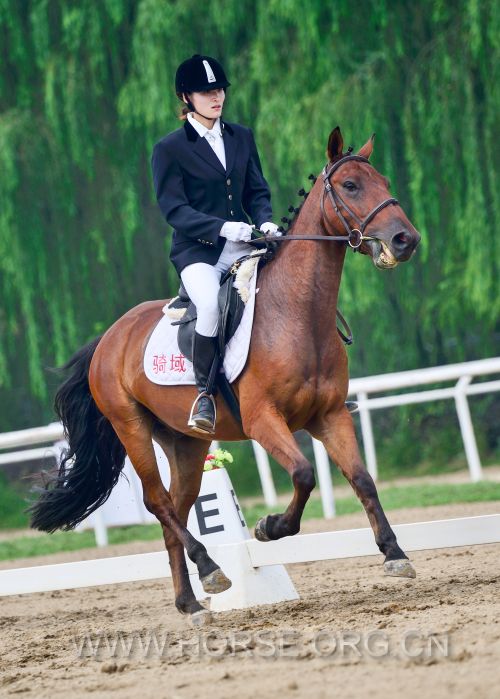 Dressage_20160820_115224_.jpg