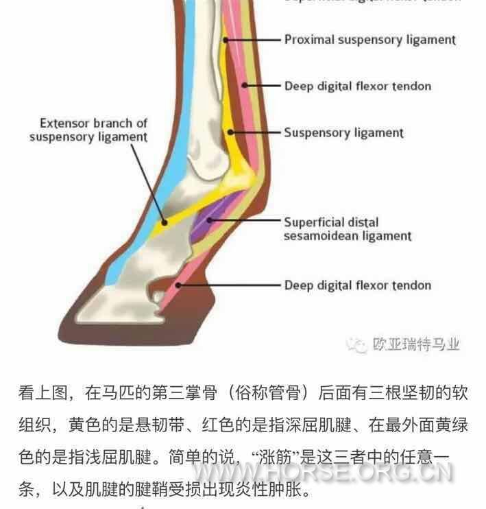 mmexport1481617716494_看图王.jpg