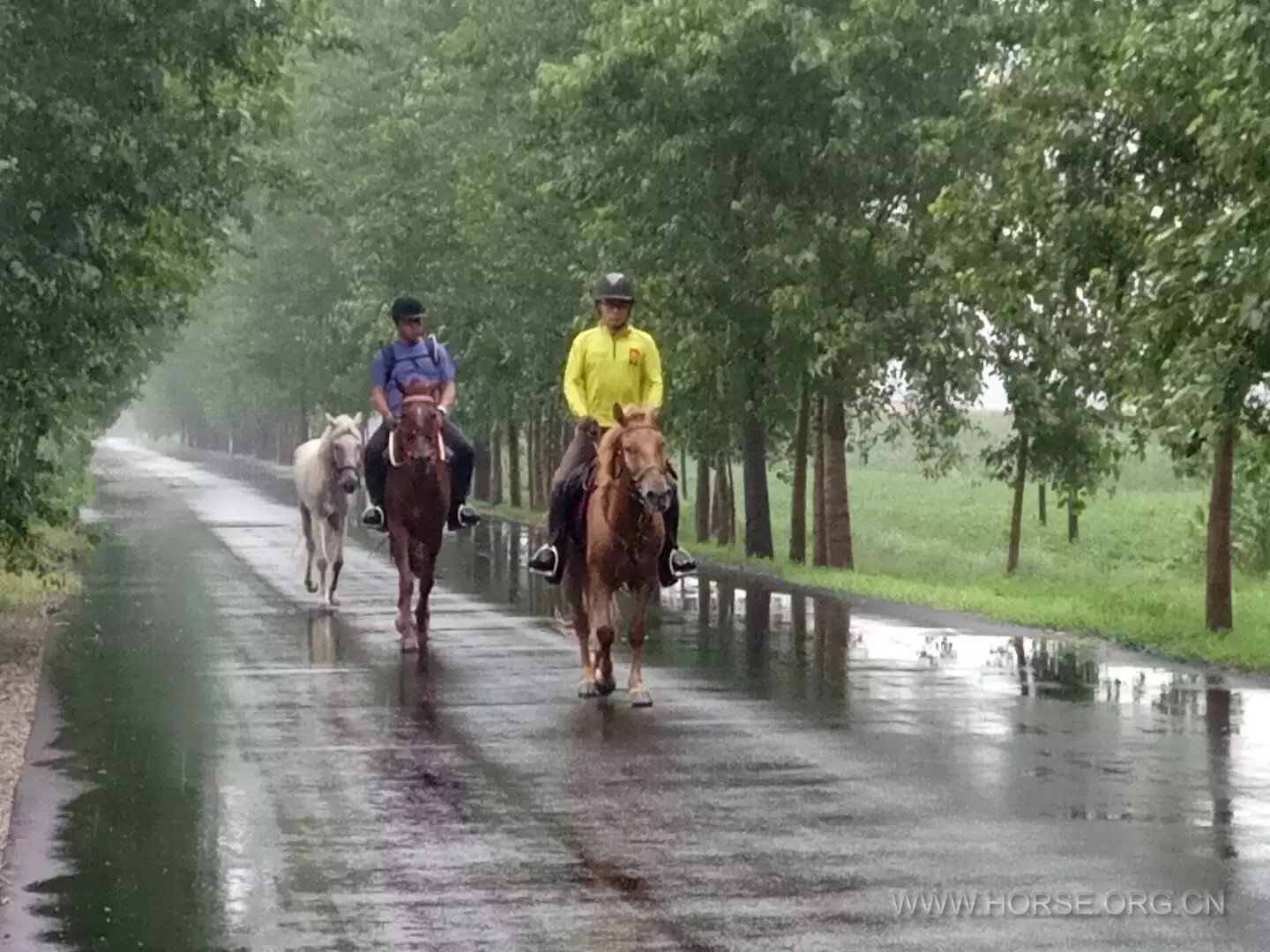 雨后.jpg