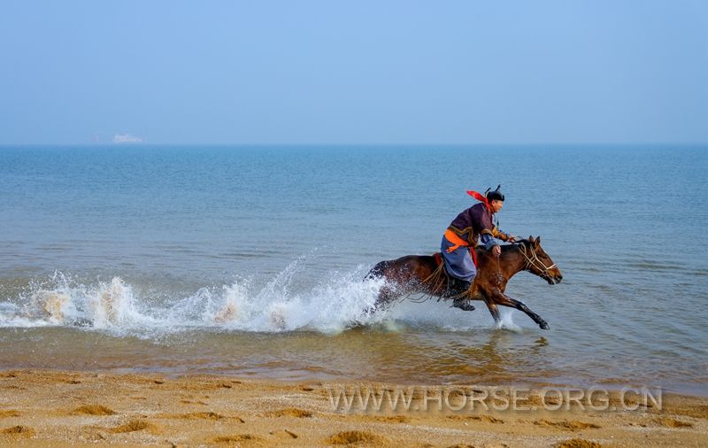 投票ID35号，飞马踏浪 任洌.jpg