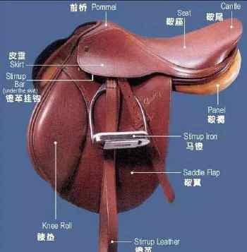 微信图片_马鞍构造图.jpg