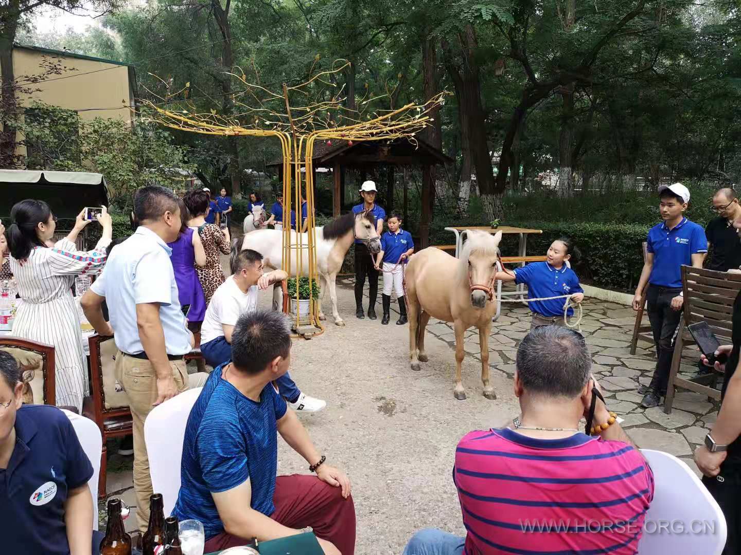 微信图片_20190721001423.jpg