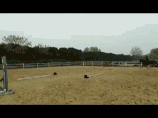 序列 01.gif