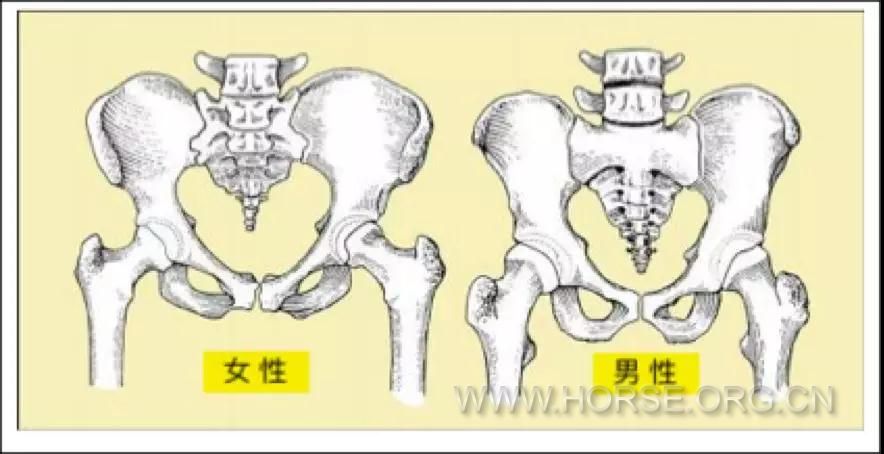 微信图片_20191203162342.jpg