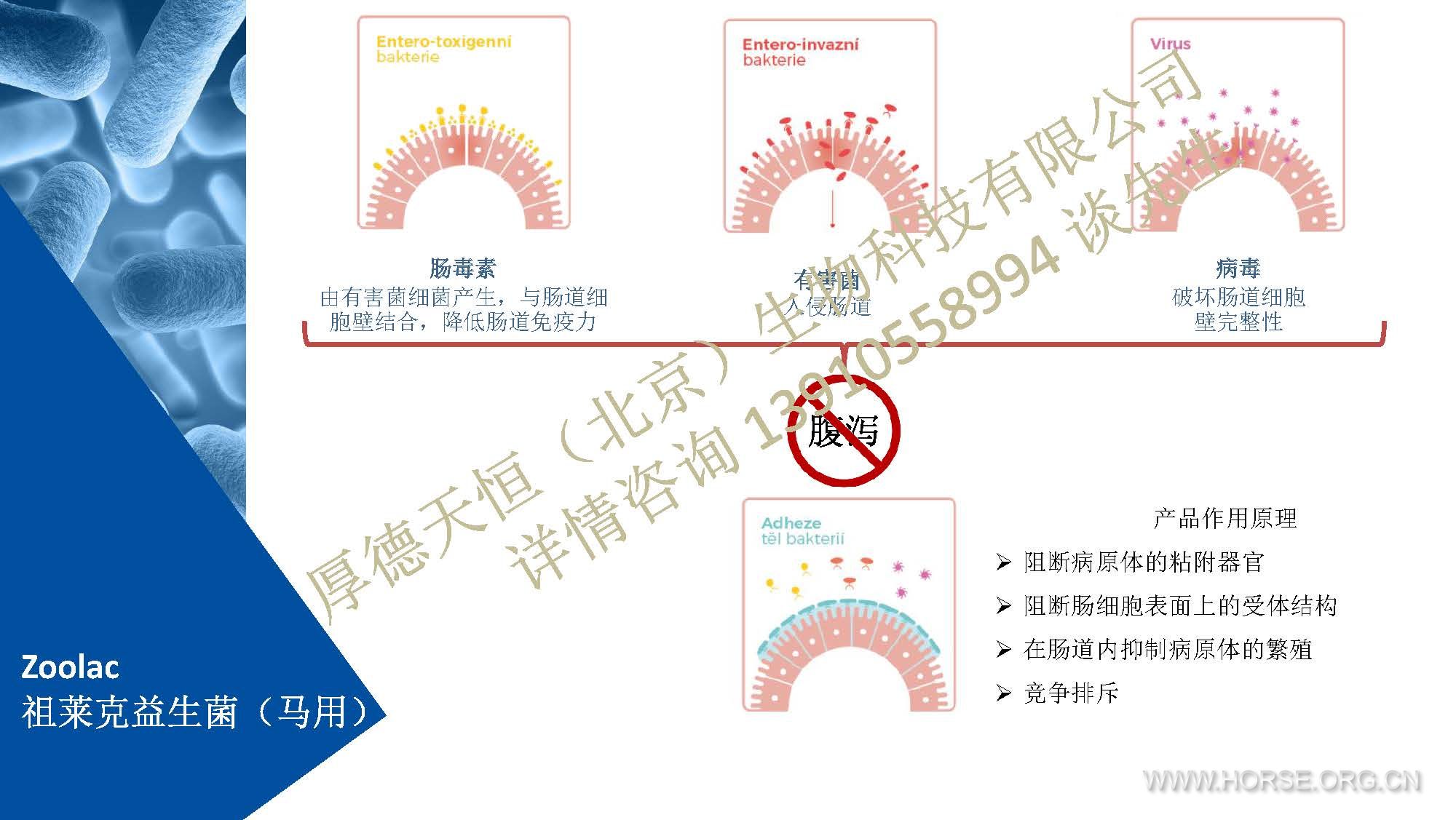 Zoolac公司产品介绍 2019 (中文)-马用-编辑素材 （公司水印电话版）_Page_10.jpg.jpg