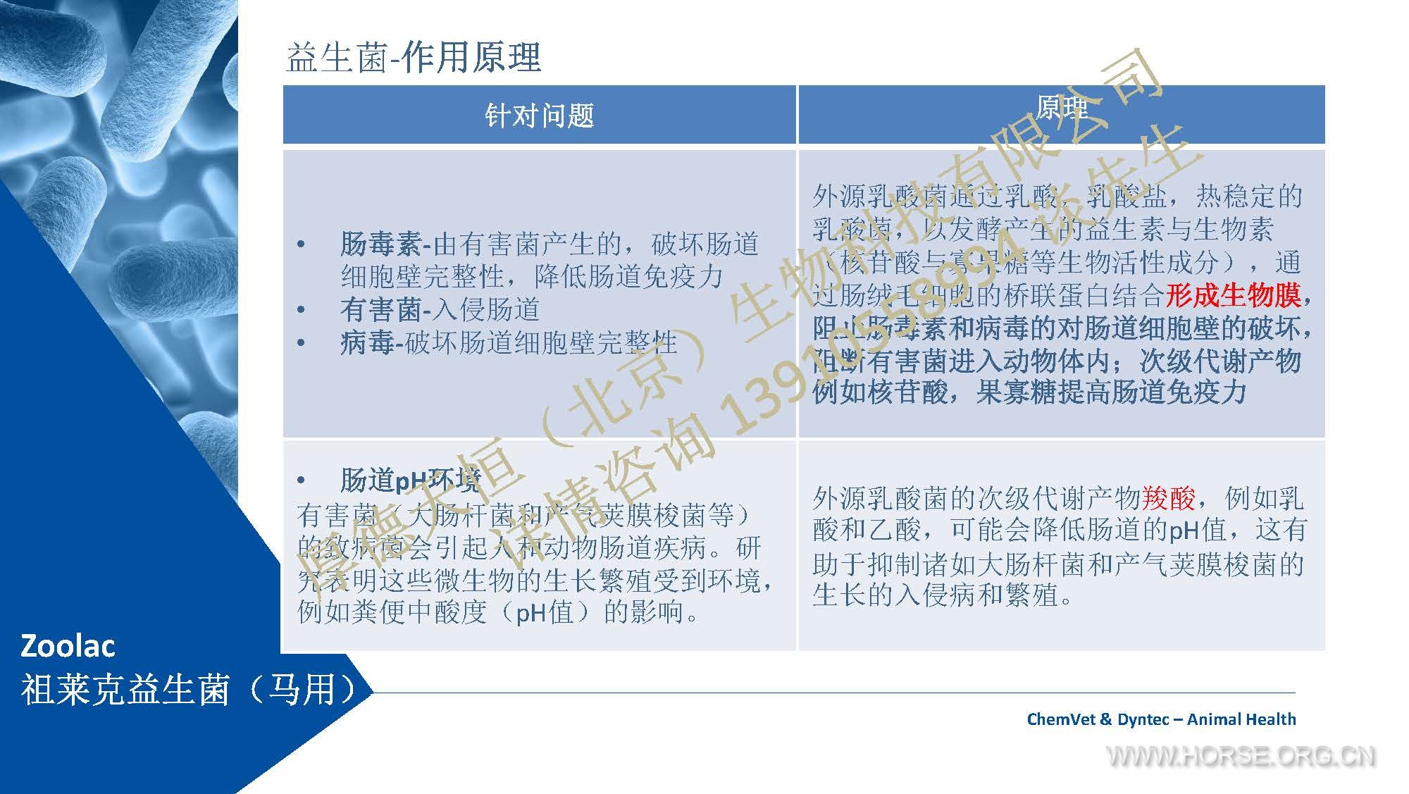 Zoolac公司产品介绍 2019 (中文)-马用-编辑素材 （公司水印电话版）_Page_11.jpg.jpg