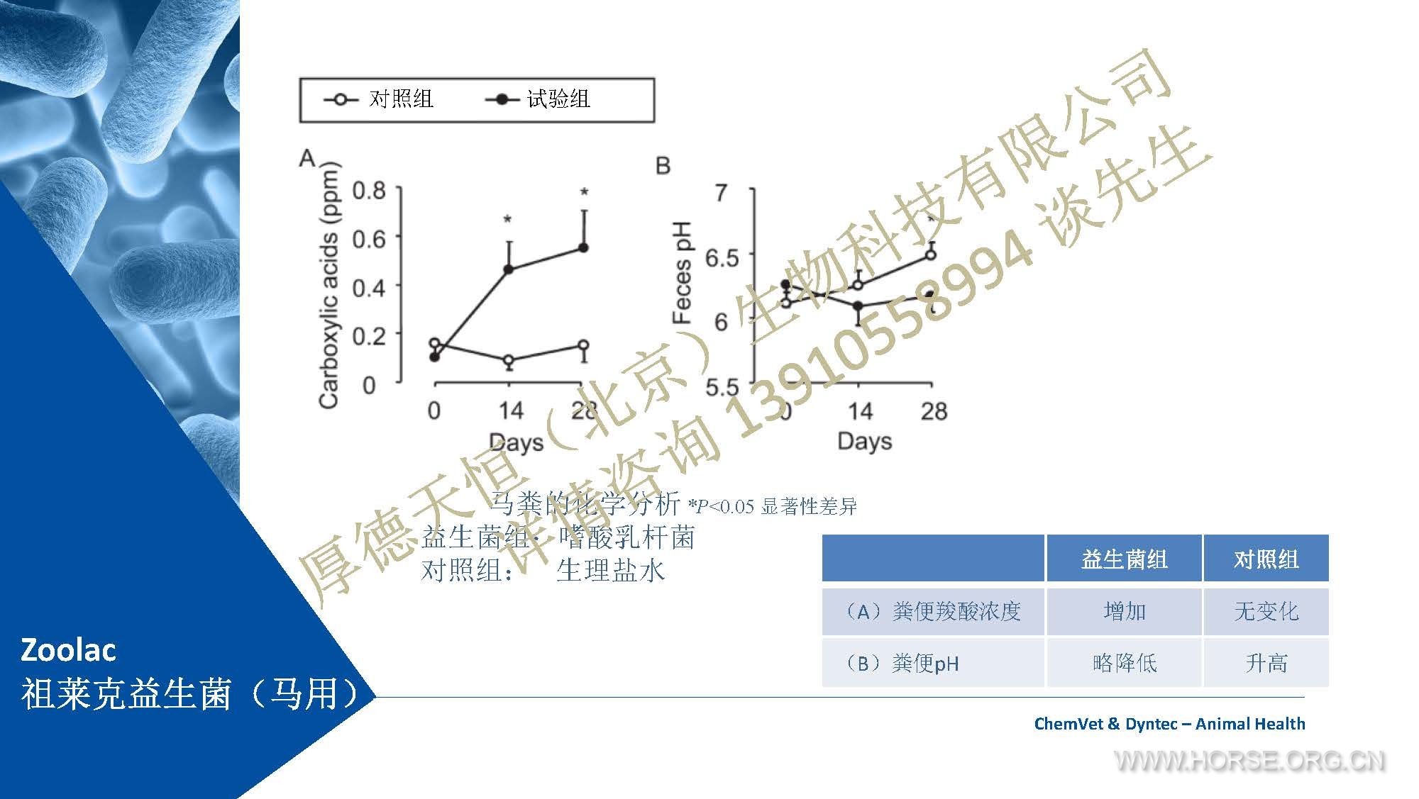 Zoolac公司产品介绍 2019 (中文)-马用-编辑素材 （公司水印电话版）_Page_13.jpg.jpg