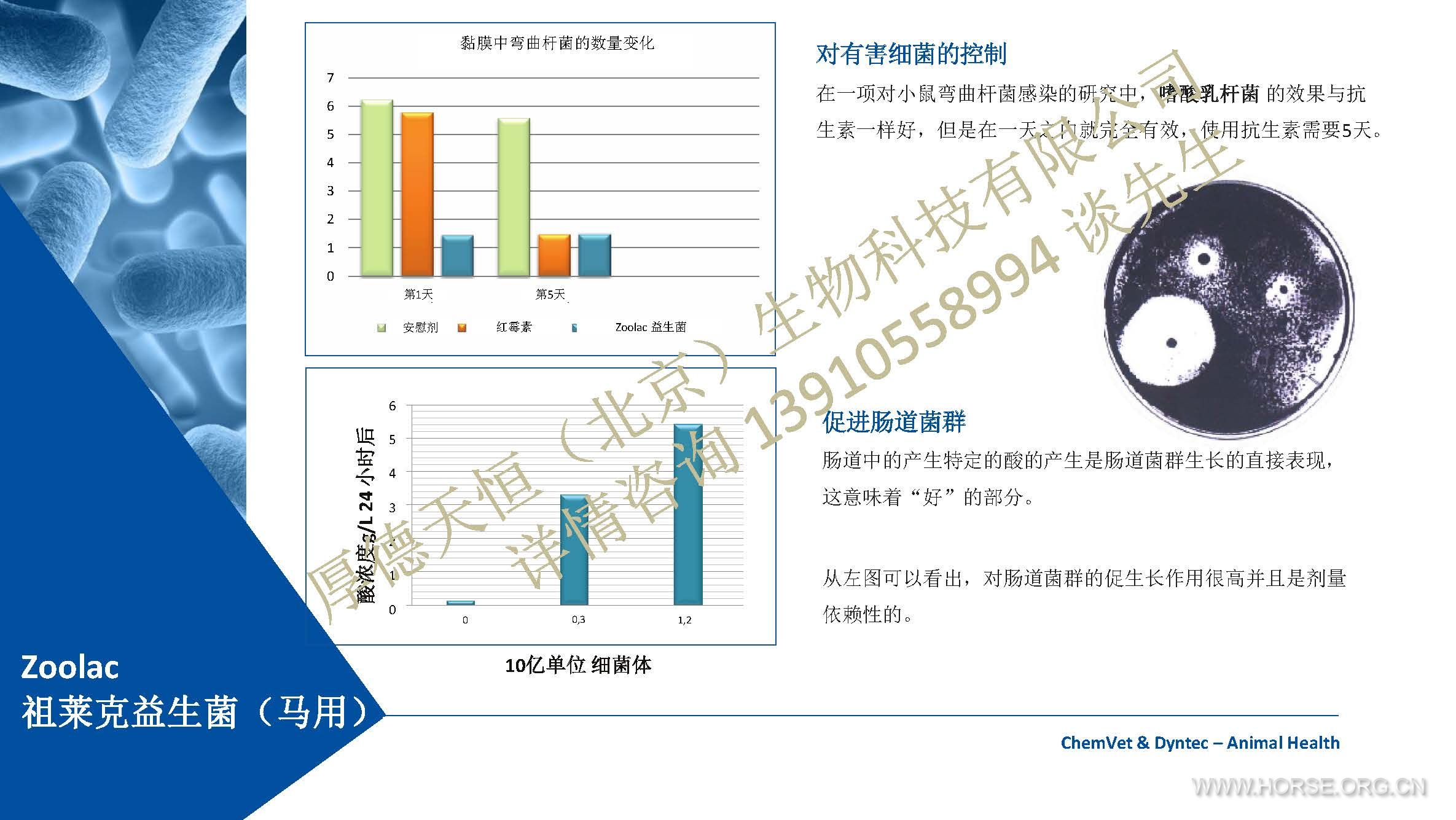 Zoolac公司产品介绍 2019 (中文)-马用-编辑素材 （公司水印电话版）_Page_19.jpg.jpg