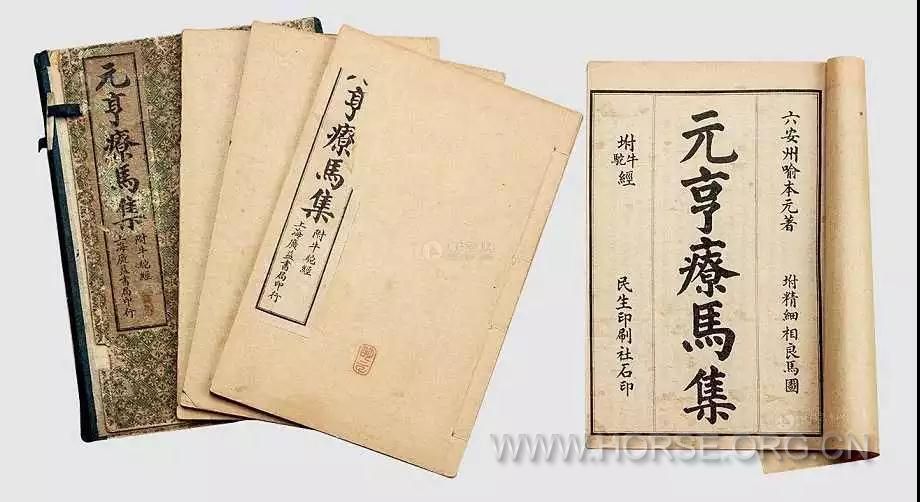 为什么马要穿马衣 真的是马主觉得冷吗 中国马术网 Powered By Discuz 为什么马要穿马衣 真的是马主觉得冷吗 中国马术网 Powered By Discuz