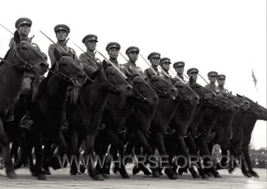 中国骑兵阅兵2.jpg
