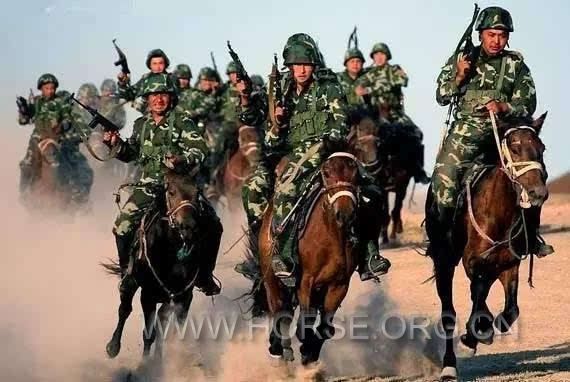中国骑兵训练11.jpg