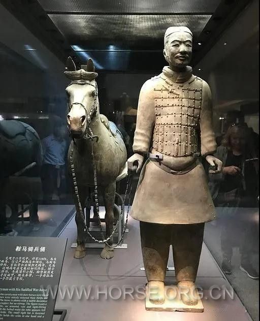 马镫2.jpg