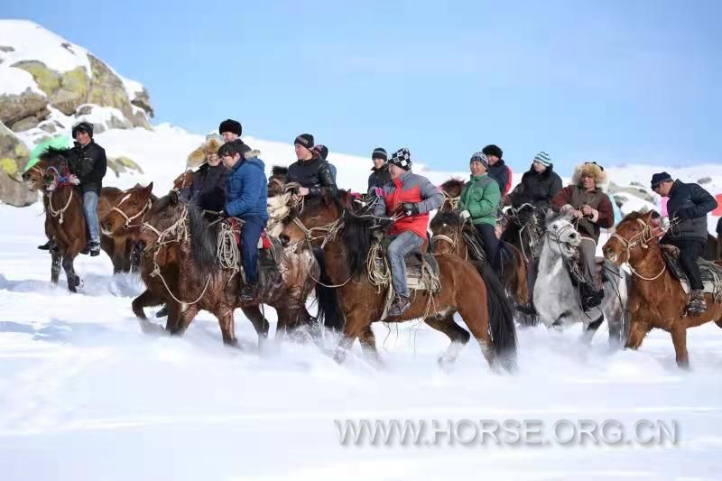 阿勒泰骑马滑雪4.jpg