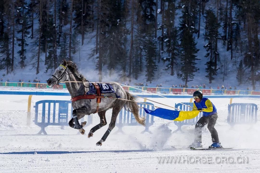 滑雪驾驶4.jpg