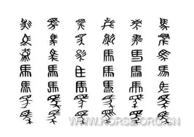 马字演化1.png