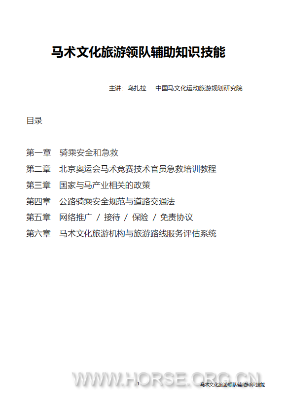 辅助技能2.png