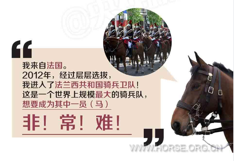 赛拉法兰西4.png