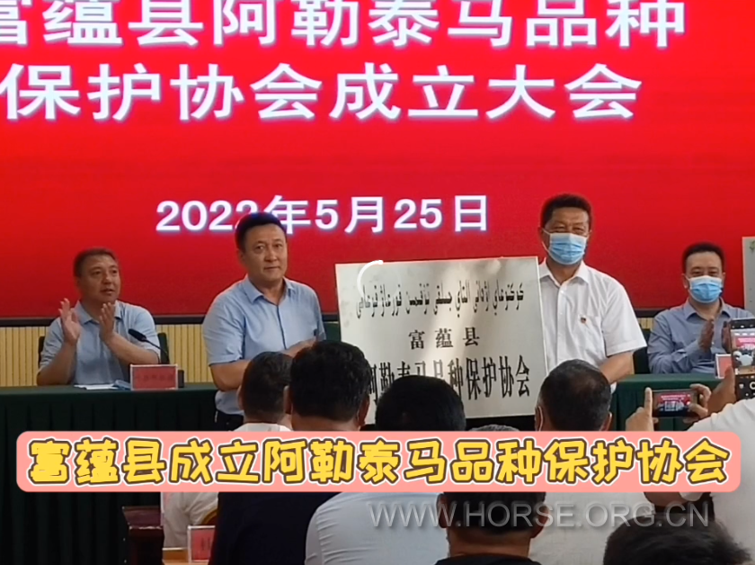 阿勒泰马保护协会1.png