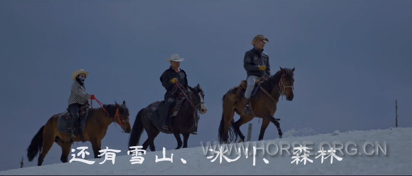 东归之旅21.png